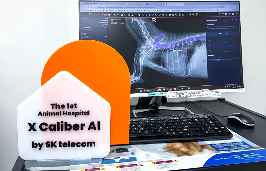 AI 기반 반려동물 진단 보조 솔루션 ‘엑스칼리버’, 북미 시장 진출