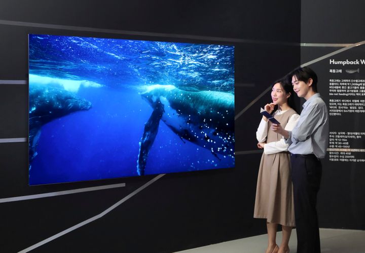 삼성전자, 파라다이스 호텔에서 Neo QLED 8K TV로 ‘고래와 나’ 시연